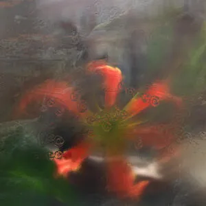 Germ in a population of buildings